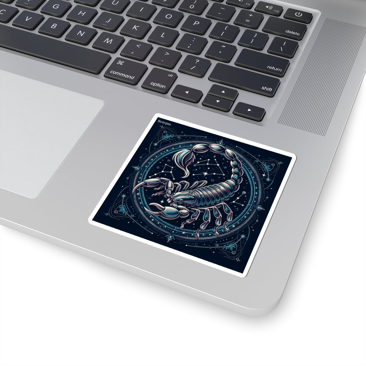 Scorpio Braid Sticker