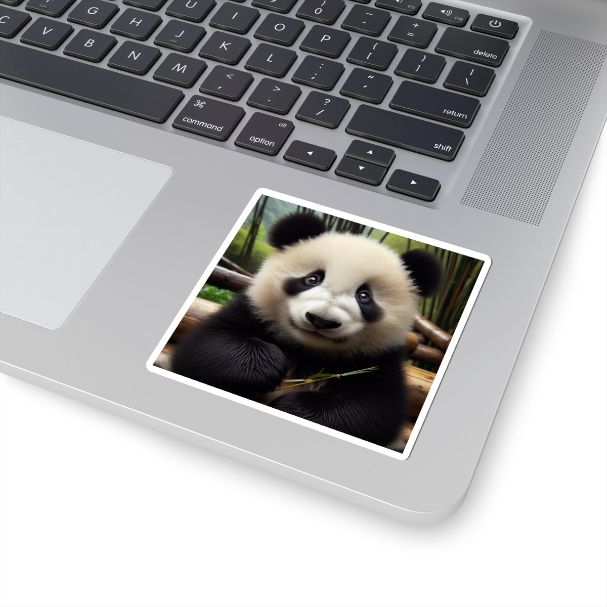 Panda Bear Sticker